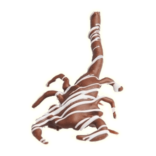 Chocolate Covered Scorpion