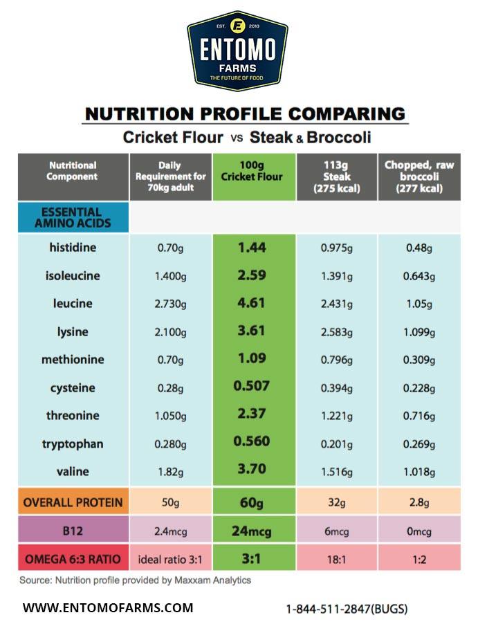 Cricket Powder Cricket Flour Cricket Protein Powder