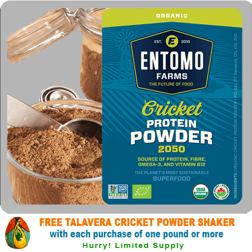 Cricket Powder Cricket Flour Cricket Protein Powder