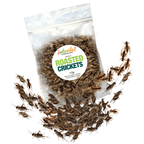 WHOLE ROASTED CRICKETS | ENTOMARKET | EDIBLE INSECTS