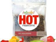 HOT Mealworms