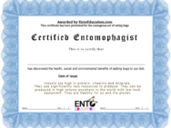 Insect Bug Certificate