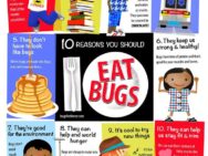 Edible Insect Educational Poster