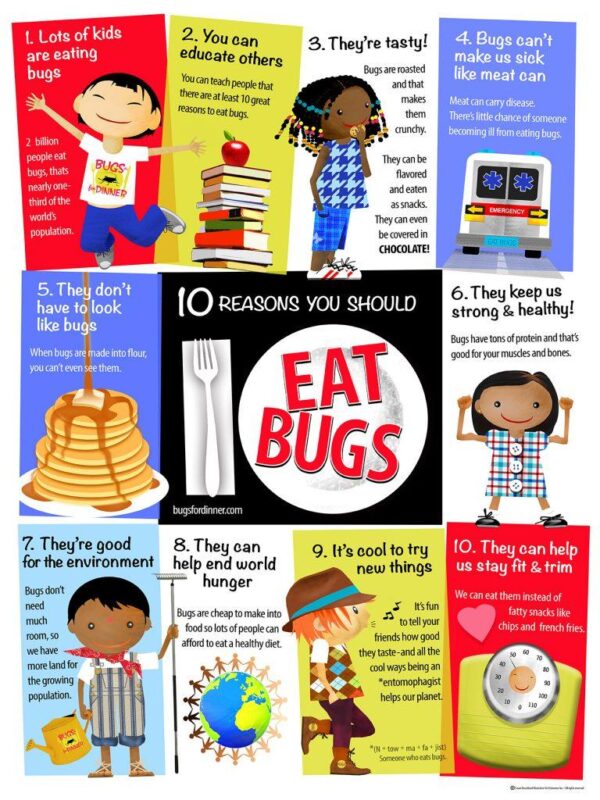 Edible Insect Educational Poster