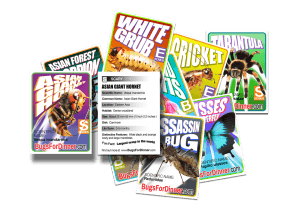 BUG TRADING CARDS Beautiful, Edible and Scary - Edible Insects