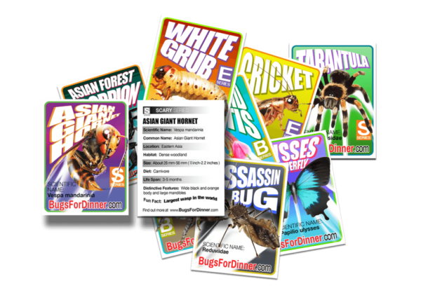 Bug TRading Cards II