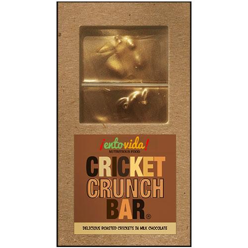 chocolate covered crickets