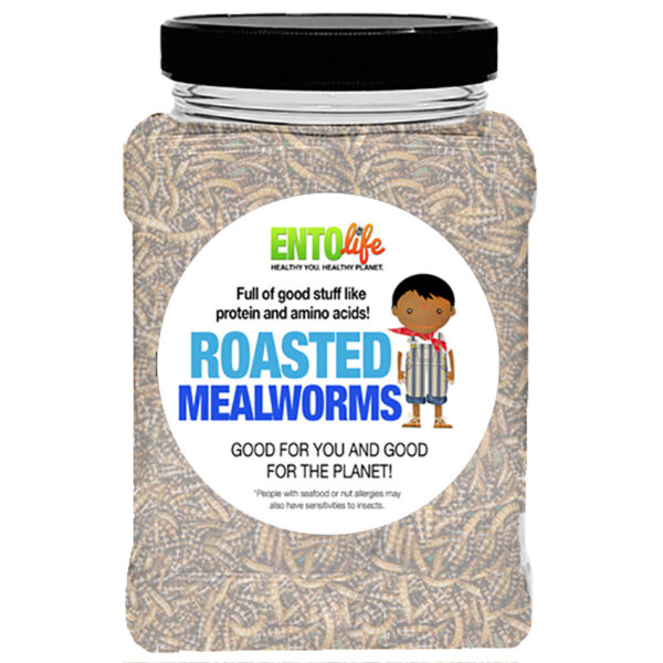 Mealworms for Human Consumption