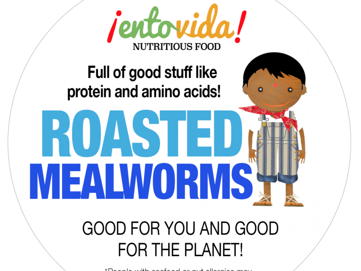 Whole Roasted Mealworms for Human Consumption - Edible Insects