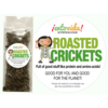 Edible Crickets