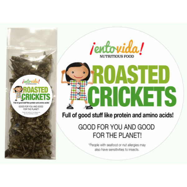 Whole Roasted Mealworms for Human Consumption Edible Insects