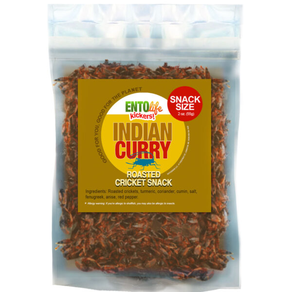 Indian Curry Flavored Crickets Raised for Human Consumption