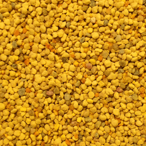 What is Bee Pollen?