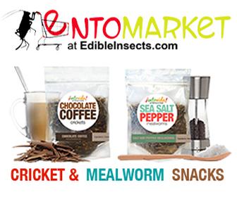 Edible Insects