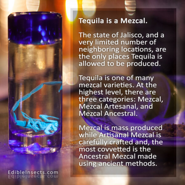 Is Tequila a Mezcal?