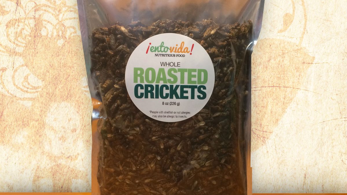 WHOLE ROASTED CRICKETS ENTOMARKET EDIBLE INSECTS