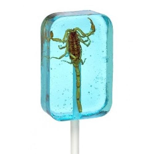 Scorpion Sucker in Apple Edible Insects