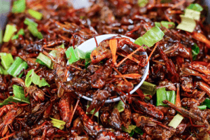 Chapulines For Sale