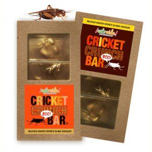 Cricket Crunch Bar Duo