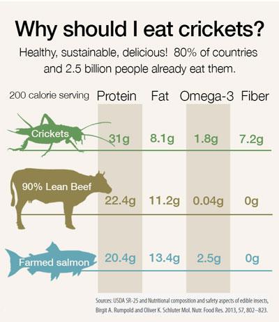 Feeder Insect Nutritional Value Chart