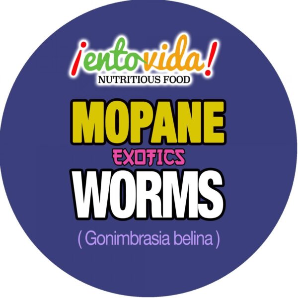 Mopane Worm Label