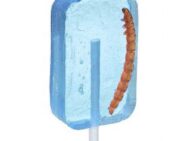 Blueberry Worm Pop