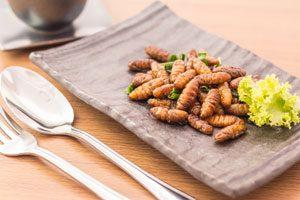 Expensive Edible Insects