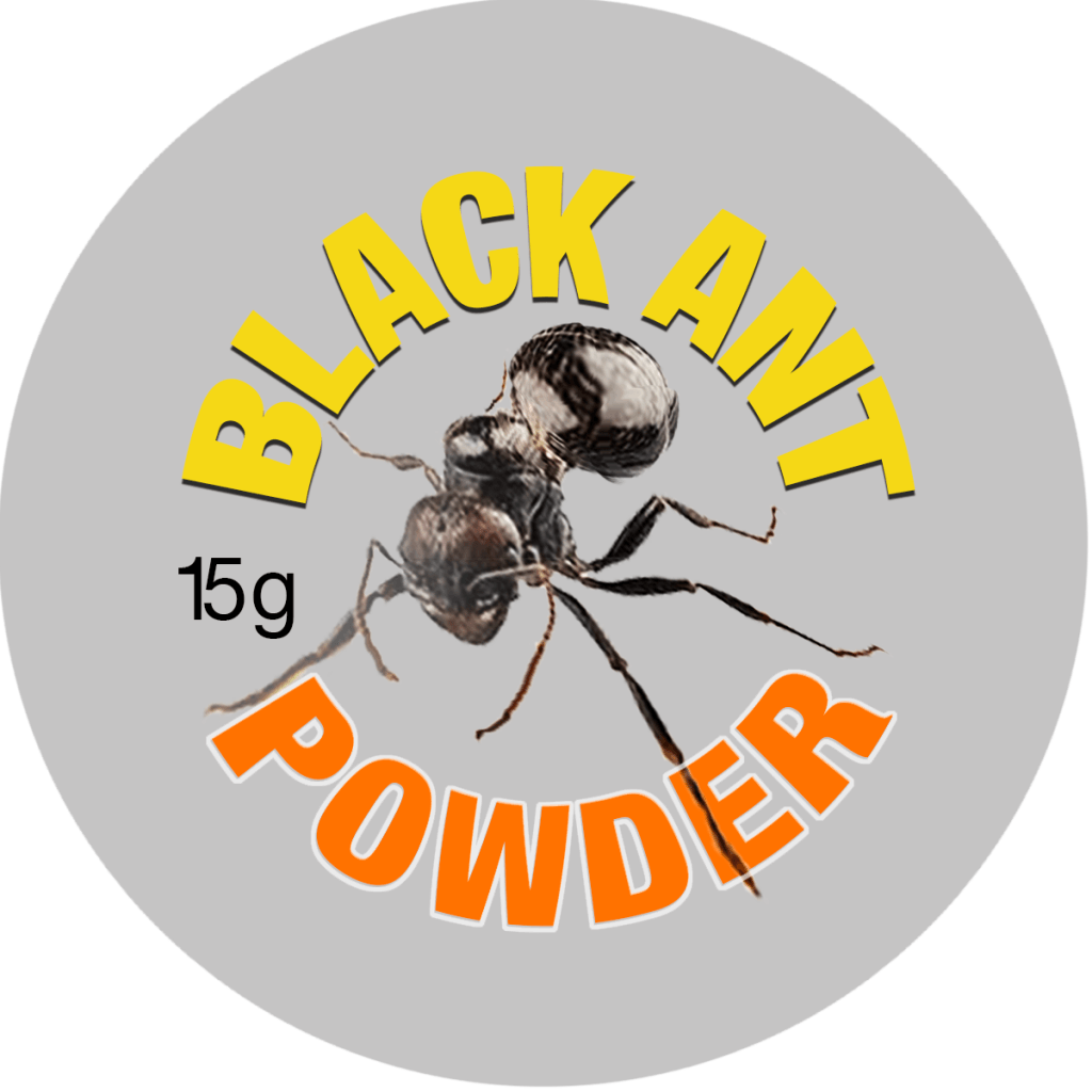 Black Ant Powder Edible Insects