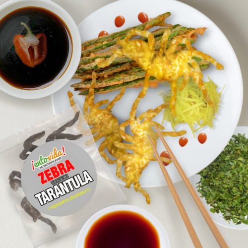 Edible Tarantulas Category - Edible Insects