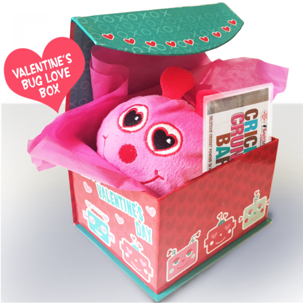 Valentines Bug Box