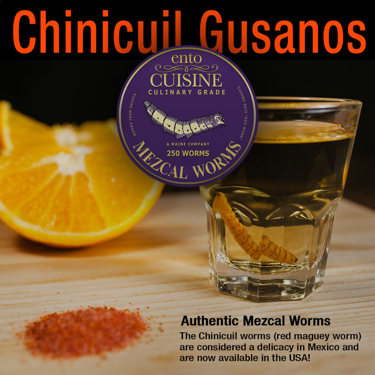 Chinicuil Gusanos or Mezcal Worms Edible Insects