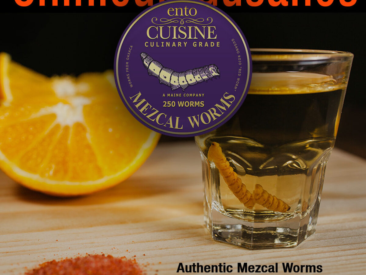 Bulk Edible Insects - Edible Insects