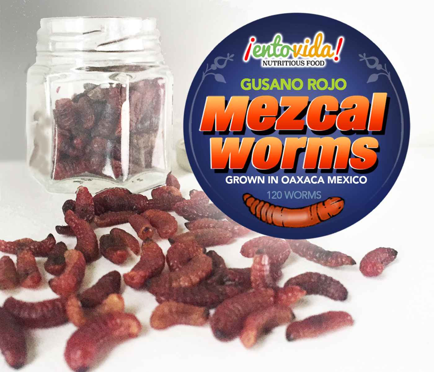 Chinicuil Gusanos or Mezcal Worms Edible Insects