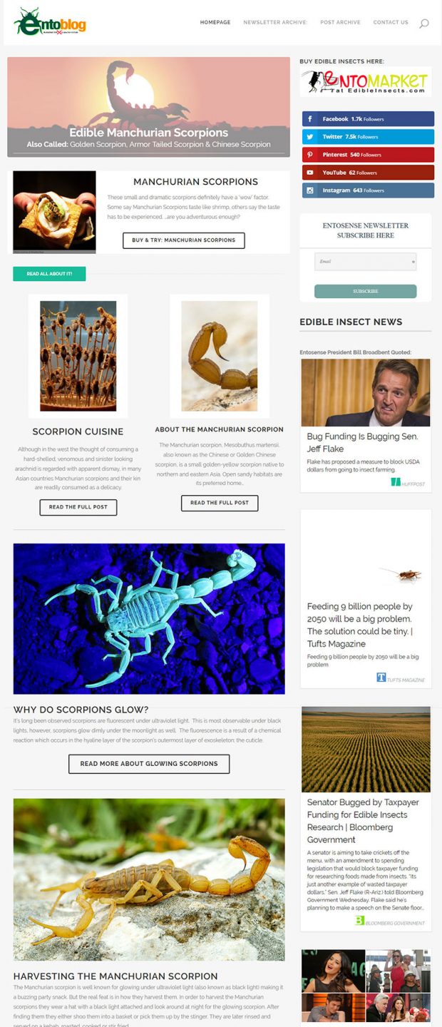 Edible Scorpion Newsletter