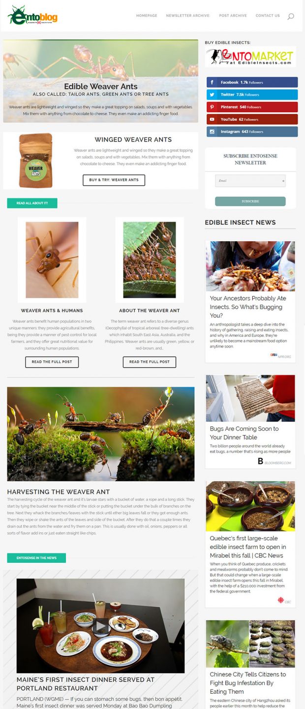 Edible Weaver Ants Newsletter