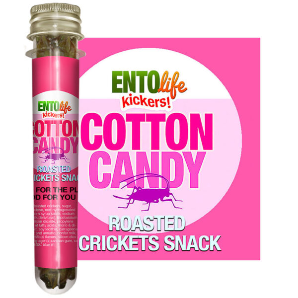 Cotton Candy Edible Crickets for Human Consumption