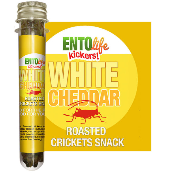 White Cheddar Edible Crickets for Human Consumption