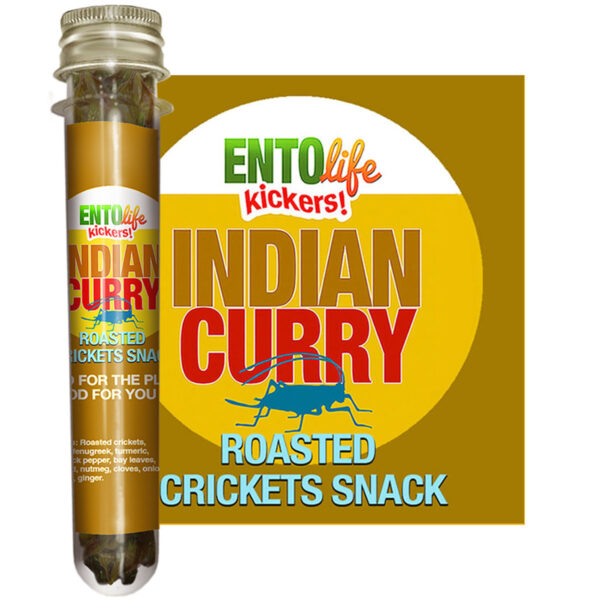 Indian Curry Edible Crickets for Human Consumption