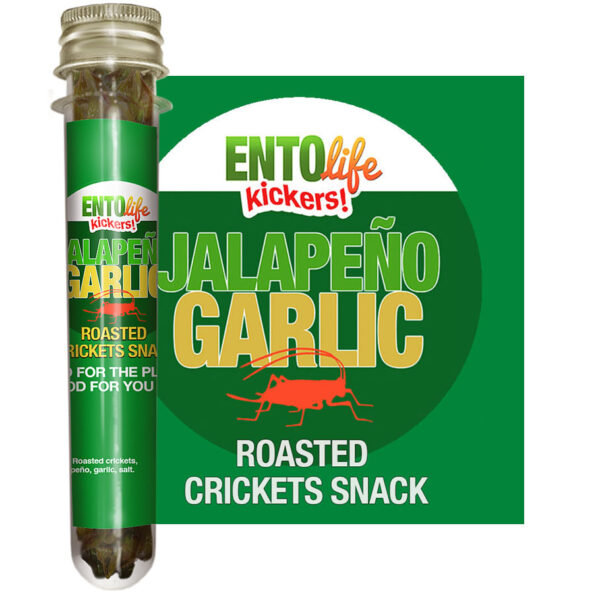 Jalapeno Garlic Edible Crickets for Human Consumption