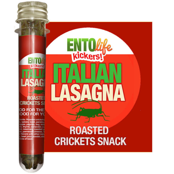 Italian Lasagna Edible Crickets for Human Consumption
