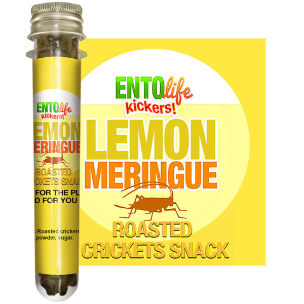 Lemon Meringue Edible Crickets for Human Consumption