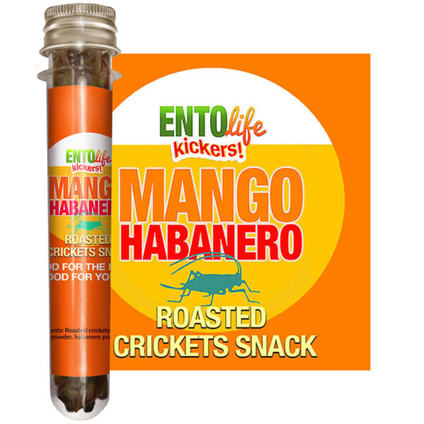 Mango Habanero Edible Crickets for Human Consumption