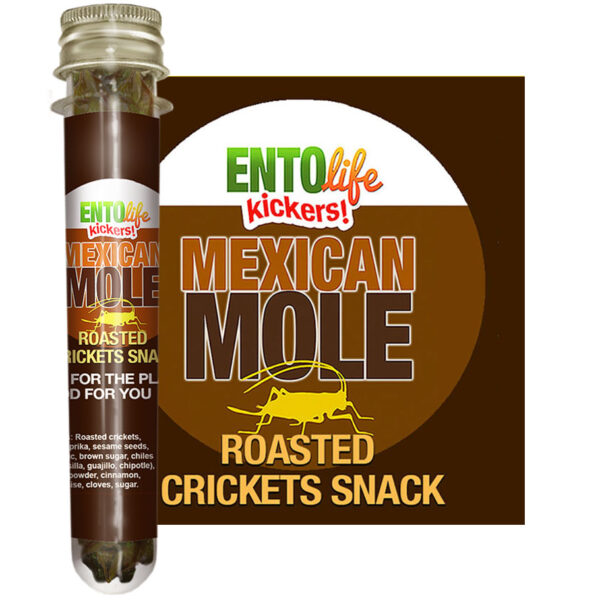 Mexican Mole Edible Crickets for Human Consumption