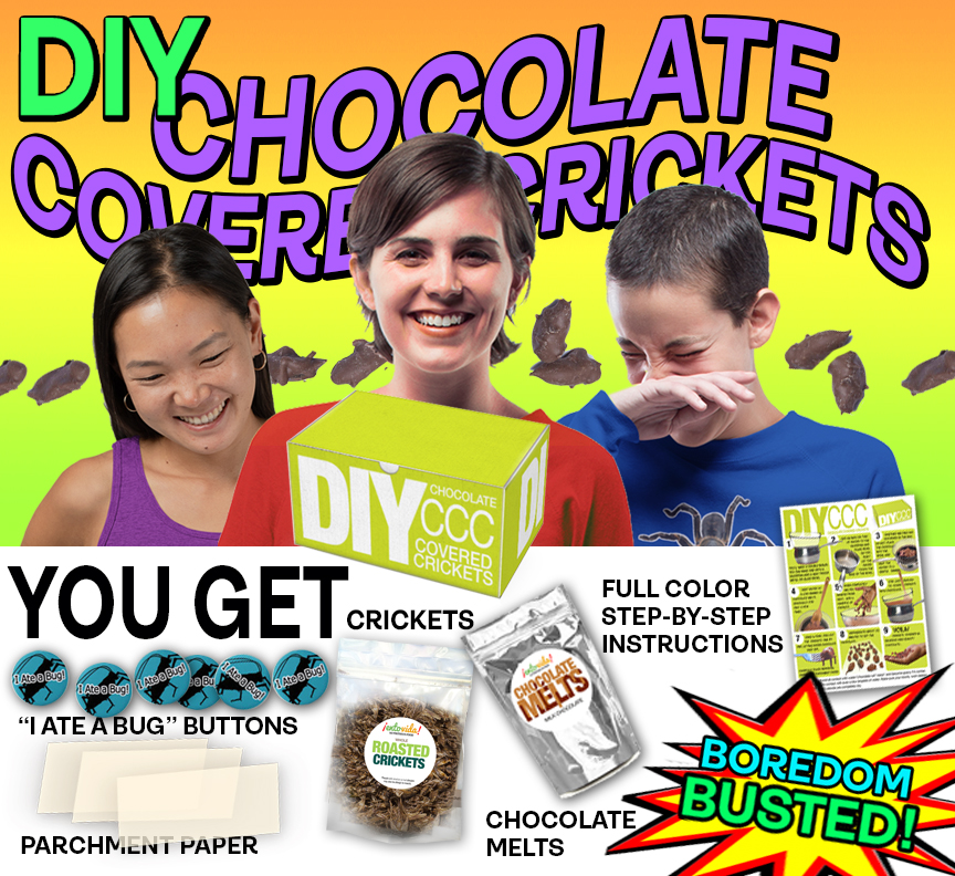 Chocolate Covered Crickets