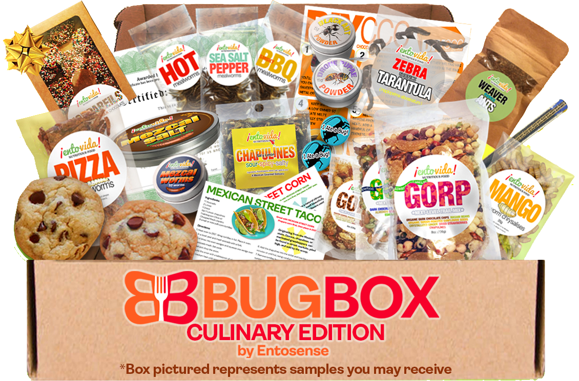 Culinary Edible Insects Subscription Box