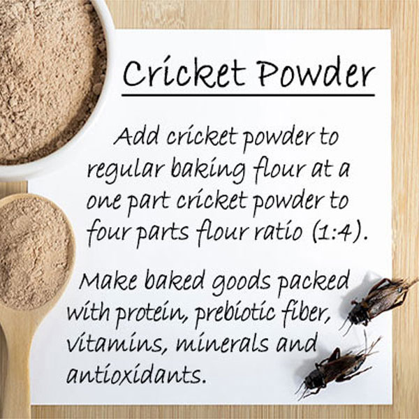 How to Make Cricket Flour
