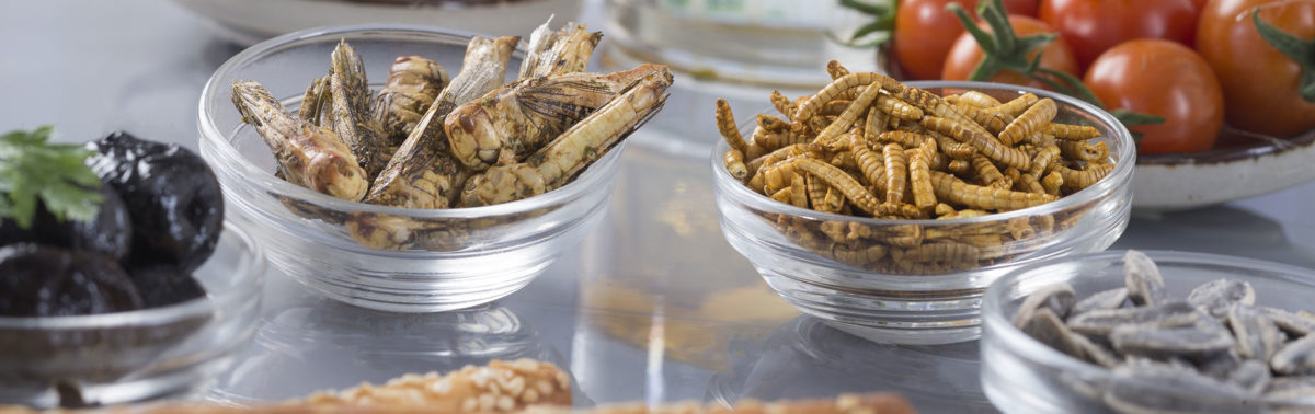 Informative speech image