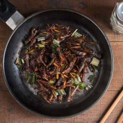 THE HIGH COST OF EDIBLE INSECTS
