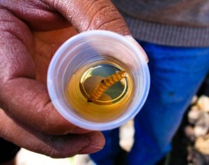 Man-Holding-Mezcal-Worm-Shot