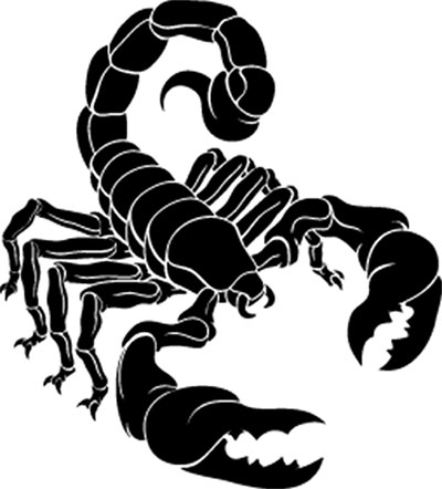 Scorpion Exoskeleton